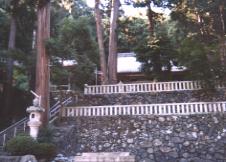 全景図