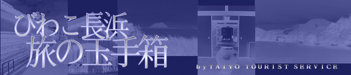 т킱l̋ʎ蔠|byzc[XgT[rX