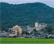 _tSi